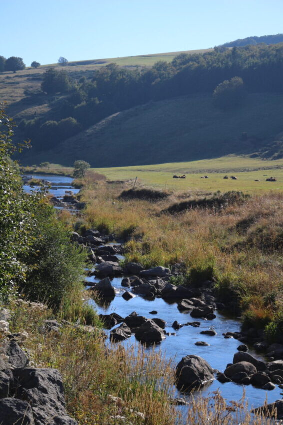 Rivière dans la montagne