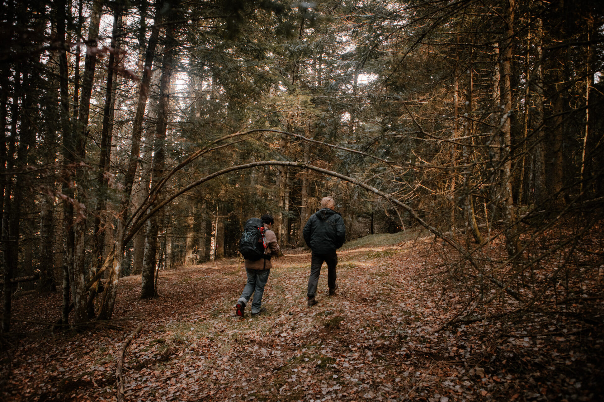20240128 ENV FORET debardage chantier forestier association sous lou boes chaudeyrolles marie julliard hans lucas 191