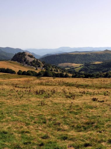 Fil rouge artistique