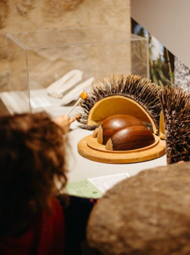 Castanea – Espace découverte de la Châtaigne d’Ardèche à Joyeuse