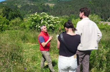 Enquête du Dauphiné Libéré : à quoi ressemblera la castanéiculture dans 25 ans ?