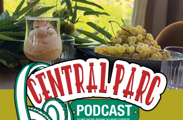 CENTRAL PARC saison 3 – épisode 1 : Les menus castagnades passent à table